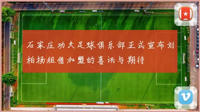 石家庄功夫足球俱乐部正式宣布刘柏杨租借加盟的喜讯与期待